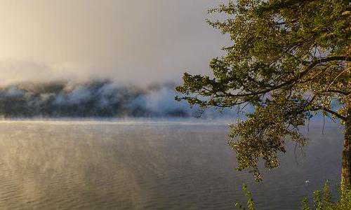 美国eb1e移民{美国工作签证有几种？H,L,O,P,Q}