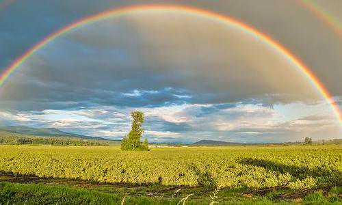 香港移民 研究生【香港移民政策最新2022详解！】