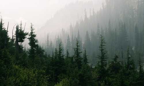 香港新移民银行开户要存多少钱吗【移民香港成为永久居民好处有哪些？可享高