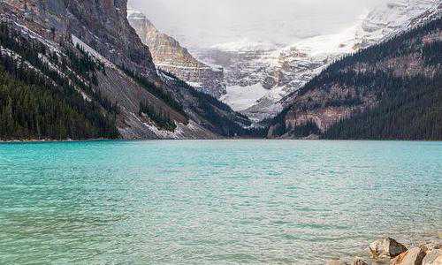 美国投资移民区域中心列表(春节出境游迎报名高峰美国签证提速加放缓)