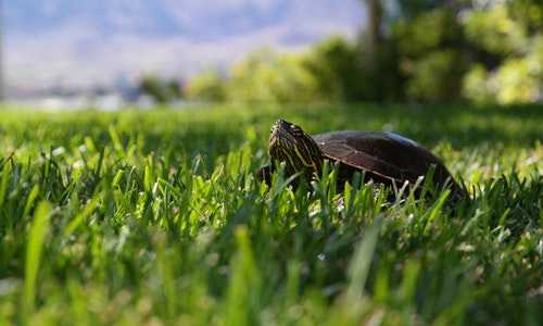 哪些疾病不能投资移民美国(移民会影响美国经济嘛,真实情况又是如何呢?)