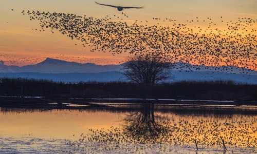 收到美国移民局i797c（穷人怎么移民美国？这些方法证明移民不是富人特权）