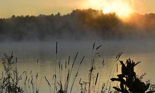 美国2018.11月移民排期(美国人生活中最忌讳这8件事,新移民千万要避开!)