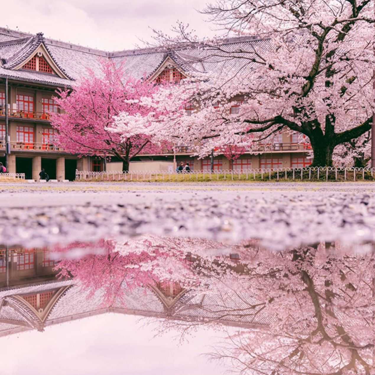 美国移民绿单是什么意思{美国留学好不好,做不到这六点照样不能脱颖而出!