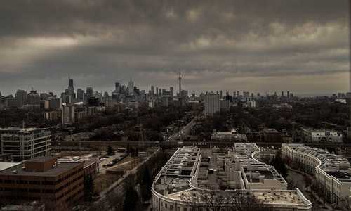 美国移民小三阳{美国大学2019最新排名公布，各个学校实至名归}