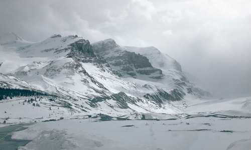 中国移民美国原因(美国新移民享受公共福利时需注意的那些事)