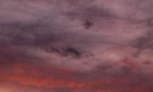 2016美国移民来源（美国严打非法居留:涉及这几类签证,严重的将被禁止入境）