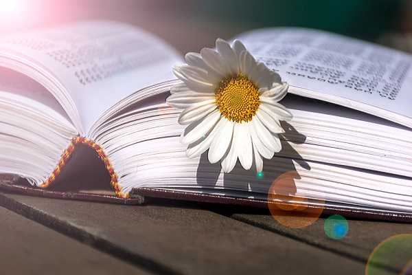 美国EB4移民的条件{美国社会福利—为了这些福利移民值了}