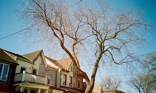 美国移民状况【美国2022年3月移民排期公布，仅EB3小幅前进】