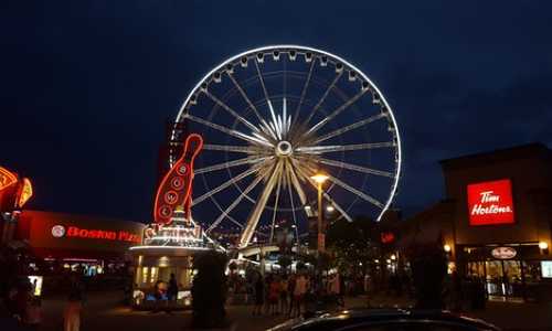 目前移民美国的方式【2021年6月美国职业移民最新排期】