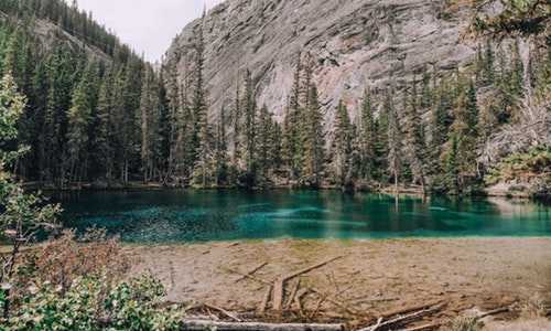 2015年 亲属移民美国条件(美国出入境旅客请注意:海关严查再升级!所有电子