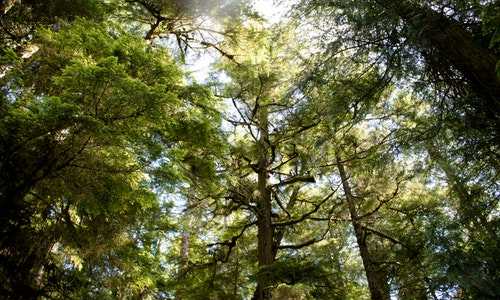 美国绿卡 有移民监吗{2019全球最健康国家，西班牙登首位，美国排名下滑，中国