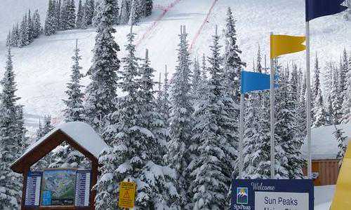 美国移民行政审查半年体检过期【花高昂学费去美国留学值不值？美国高等教育