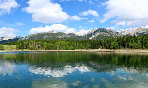 移民新西兰有什么好的【新西兰留学移民申请攻略及最新政策详解】