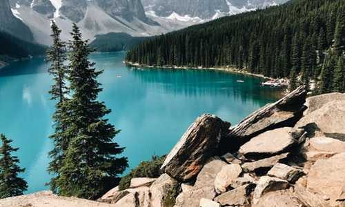 188澳洲移民{预告|移民澳洲四年经历亲人离世和重新创业,我后悔了吗?}