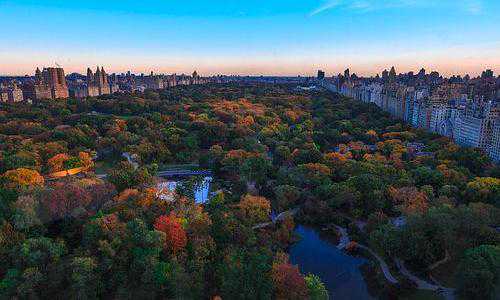 美国人移民中国的条件（美国职业移民EB-1C申请条件及政策优势详解！）