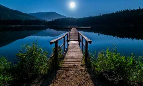 美国一年有多少移民【美国移民排期2017年9月进展：亲属移民F4倒退2年多！】