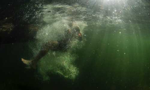 美国新移民首次入境【实用Tips：如何在美国选购House（独立屋）？】