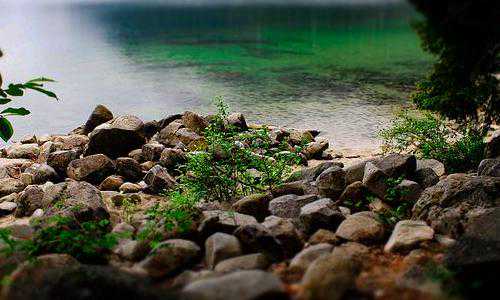 美国投资移民l1【去美国好找工作吗?这份攻略大全要收好】