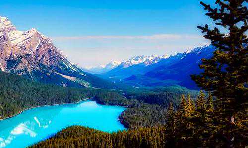 美国购房可以移民吗{移民美国到底需要多少钱？真相原来是这样的！}