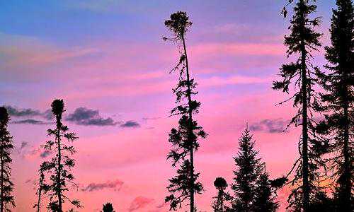 中国十大移民美国中介{美国移民丨纽约人口十年来首现负增长}