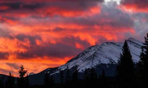 南京澳洲投资移民【澳洲会计专业移民难度大吗？】