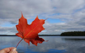 美国 技术 移民【投资移民哪个国家好推荐几个非欧美国家】