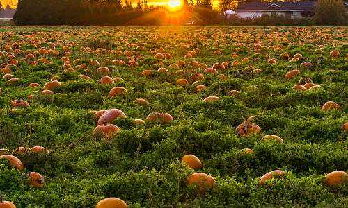 美国eb3移民可靠吗（美国移民2022年2月排期出炉，EB1保持无排期，EB2排期继续前