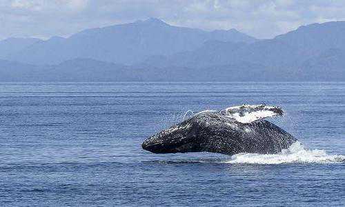 美国创业移民25万美元{美国配偶团聚移民申请材料有哪些,详细介绍在此!}