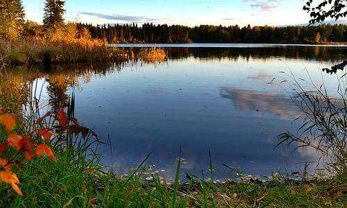 澳洲移民维州（澳洲485类学生签证再创记录，中国留学生排名第二）